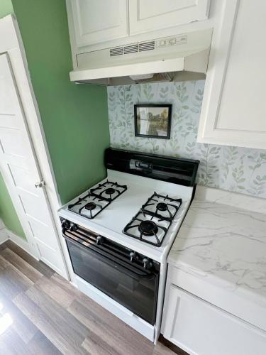 a stove top oven in a kitchen with green walls at Cozy 1bd apartment in the heart of Liverpool NY in Liverpool