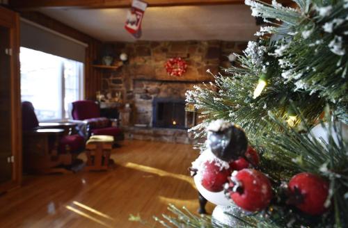 Χώρος καθιστικού στο Charmant Chalet HUOT à Sainte-Lucie des-Laurentides