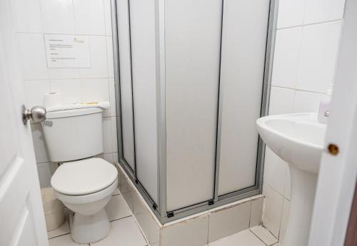 a bathroom with a toilet and a sink at Palm Hostal in Iquique