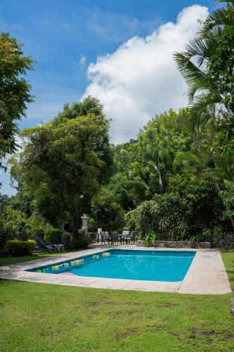 a swimming pool in a yard with trees at Tu cabaña Cuernavaca - hospedaje by Arcadia in Cuernavaca