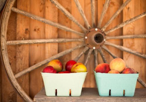 two buckets of apples sitting on a wooden table at Holiday Inn Express & Suites Kelowna - East by IHG in Kelowna