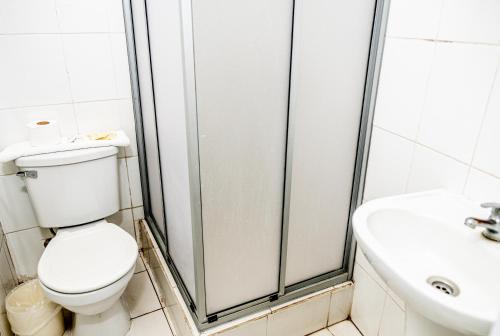 a bathroom with a toilet and a shower and a sink at Palm Hostal in Iquique