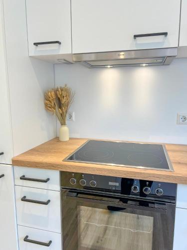 a stove top oven in a kitchen with white cabinets at Landgasthof Gänsberg in Wiesloch