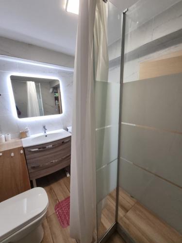 a bathroom with a shower and a toilet and a sink at Loft apartment by the sea in Athens