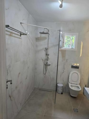 a bathroom with a shower and a toilet at uncie spiros house in Nea Fokea