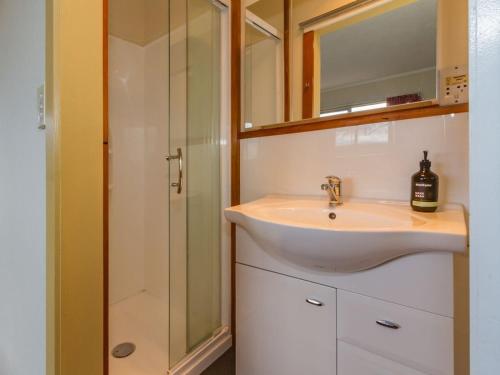 a bathroom with a sink and a shower at Raetihi Garden Spa Villa in Raetihi