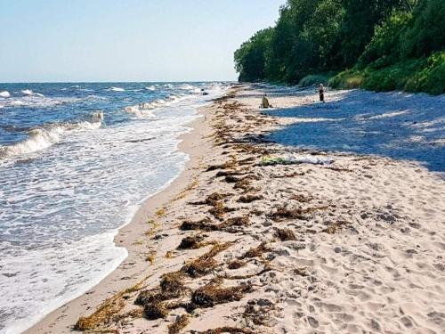 a sandy beach with people walking on the water at Tranquil Beach Retreat - By Traum in Idestrup