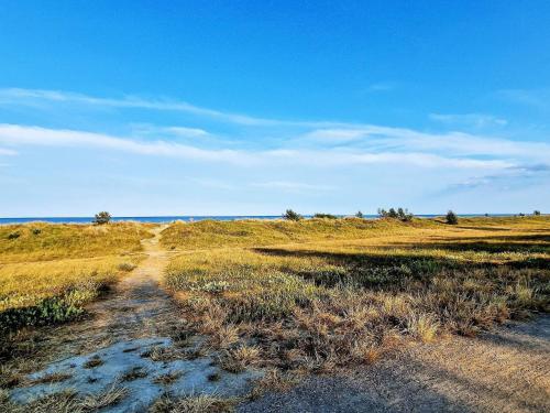 a dirt road in the middle of a field at 8 person holiday home in Væggerløse in Marielyst