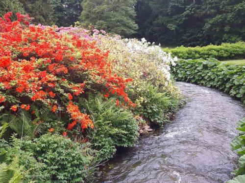 a garden with red and white flowers next to a river at Lakefront Gem in Skarrild - By Traum Ferienwohnungen in Kibæk