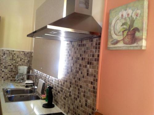 a kitchen with a stainless steel sink and a hood at Villa Sofia in Chrani