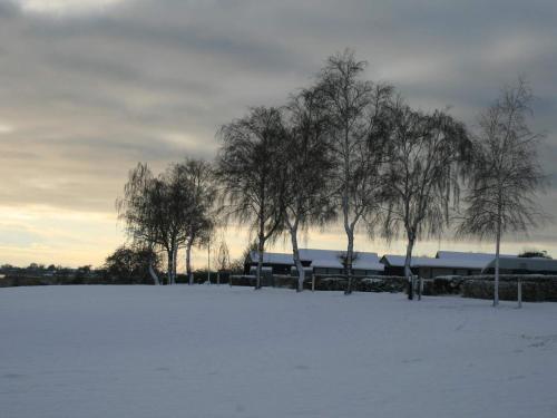 a snow covered field with trees and a building at 6 person holiday home in Karrebæksminde-By Traum in Karrebæksminde