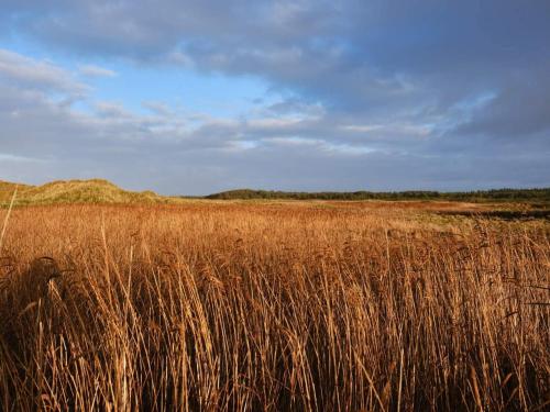 Galeriebild der Unterkunft 4 star holiday home in Blokhus-By Traum in Blokhus