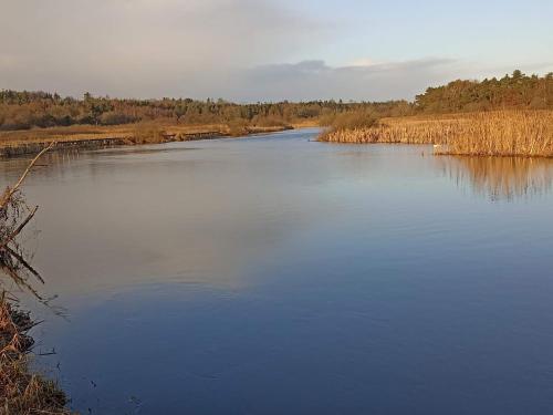 a large body of water with trees in the background at Charming Retreat by River - By Traum Ferienwohnungen in Fårvang