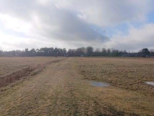 a field with a dirt road in the middle at 4 star holiday home in Ørsted-By Traum in Ørsted