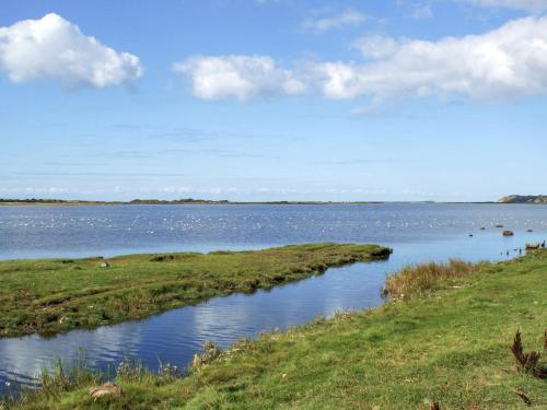 a large body of water with birds in the water at Seaside Retreat in Havnso-By Traum in Føllenslev