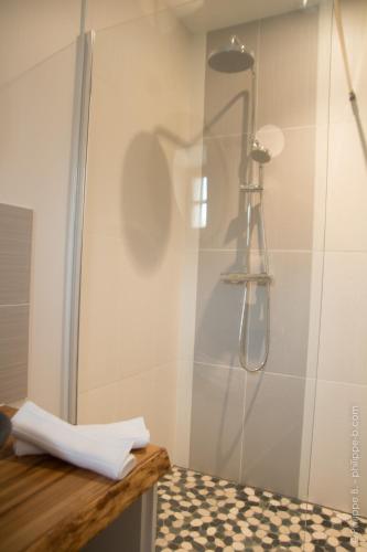 a bathroom with a shower with a glass door at Les Hauts De Chalonne in Le Gond-Pontouvre