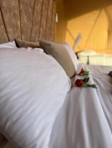 a white bed with two roses on top of it at Wadi Rum, Hala bubbles in Wadi Rum