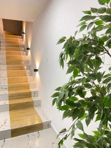 a staircase in a house with a plant at Luxury Urban Villa 3V in Kumasi