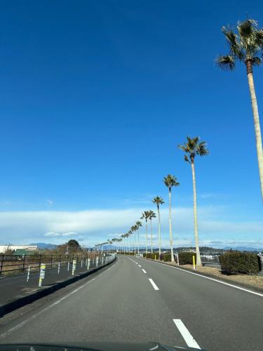 an empty road with palm trees on the side at Center of Miyazaki, easy to access, 97square meters in Miyazaki