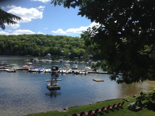 a dock with boats on the water in a lake at Little Hawk Resort & Marina in Algonquin Highlands