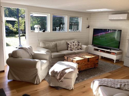 a living room with couches and a flat screen tv at 4 star holiday home in SÖLVESBORG in Falkvik