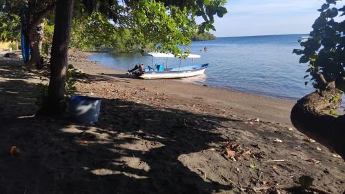 a boat sitting on the shore of a beach at Hotel Wailiti in Maumere