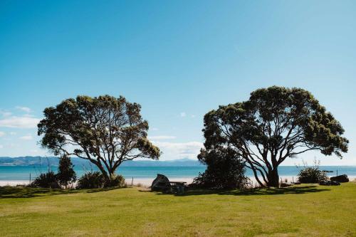 three trees sitting in a field next to the ocean at Kūaotunu Cabin 1 by Tiny Away in Kuaotunu