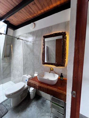 a bathroom with a sink and a toilet and a mirror at Cabaña Finca La Manuela1 in Garzón