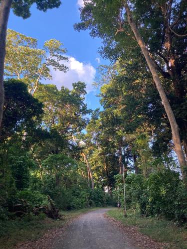 a dirt road in the middle of a forest at Purnima Resort Neil Island in Neil Island