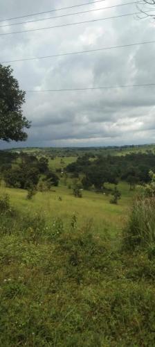 a field of grass with trees in the distance at The white elephant garden in Krong Saen Monourom