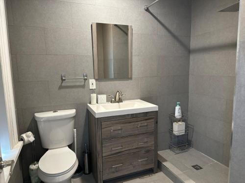 a bathroom with a toilet and a sink and a mirror at Bright & Airy 1 BDRM Private Apt in Albany