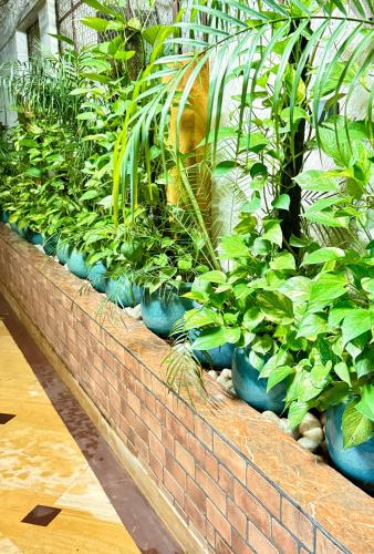 a row of plants in blue pots on a brick wall at Nahargarh view Hotel in Jaipur