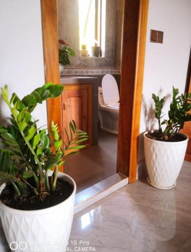 two potted plants in a bathroom with a toilet at The white elephant garden in Krong Saen Monourom