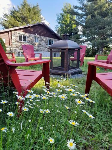 Κήπος έξω από το Charmant Chalet HUOT à Sainte-Lucie des-Laurentides