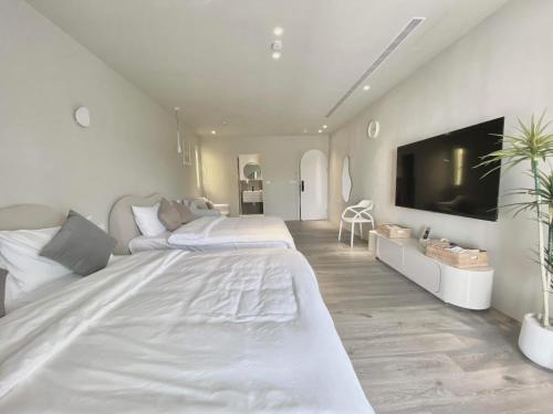 TV a/nebo společenská místnost v ubytování 慢慢南灣民宿 chillaxNanwan B&B