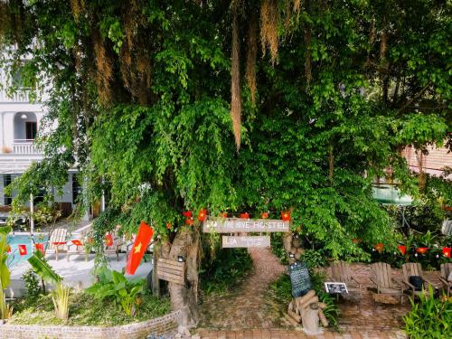 Κήπος έξω από το The Hive Hostel - Tam Coc