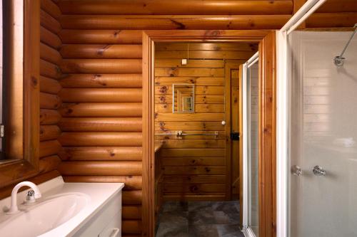 a bathroom with a shower and a sink at Cloudy Bay Cabin in South Bruny