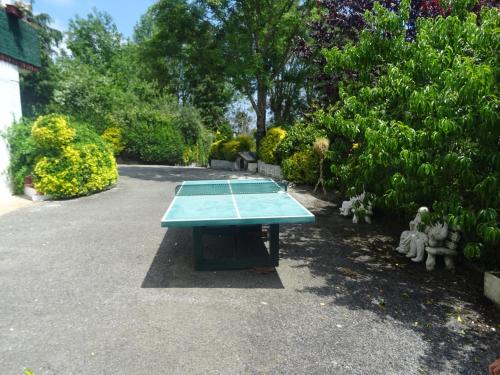 a ping pong table in the middle of a garden at Casa Rural Arratzain in Usúrbil