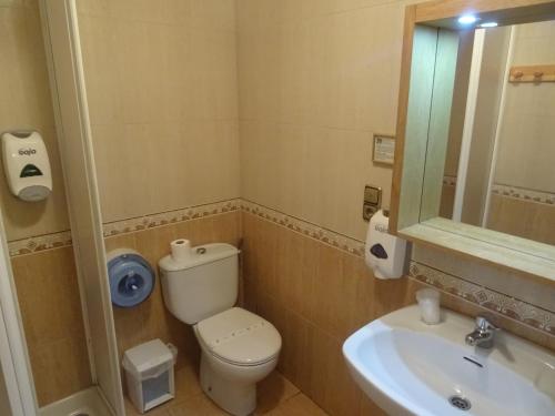 a bathroom with a toilet and a sink at Casa Rural Arratzain in Usúrbil