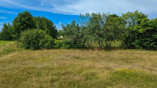 a field of grass with trees and a blue sky at Charming Cottage Near Sea On Fårö in Fårö