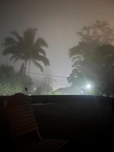 a foggy street with palm trees and a street light at Fog view cottage - Homestay with food and internet in Vythiri