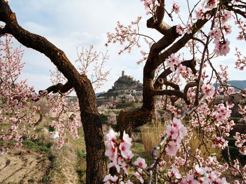 a magnolia tree with a view of a castle in the background at Casa Rural Sant Antoni in Biar
