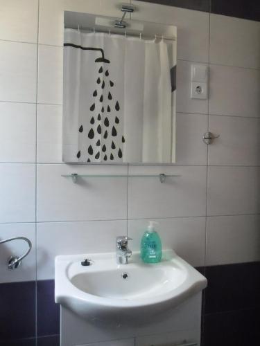 a bathroom with a white sink and a mirror at Apartments Ajka in Tisno