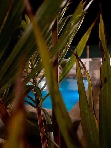Kolam renang di atau dekat dengan Fleur&Sel Westcoast Villa