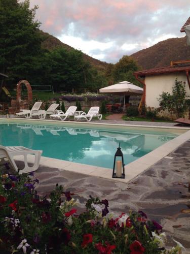 a swimming pool with lounge chairs and a house at Gasthaus Maria in Borlova