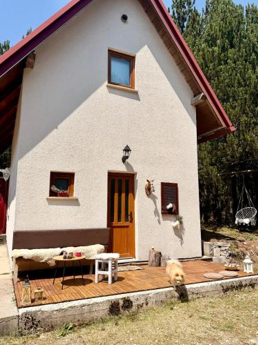 a dog is standing in front of a house at Jozin put -planinska kuća in Blidinje
