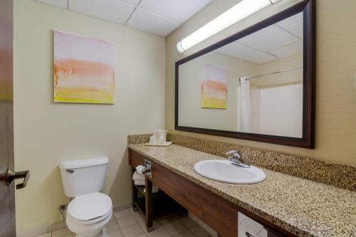 Ванная комната в Comfort Inn Bismarck