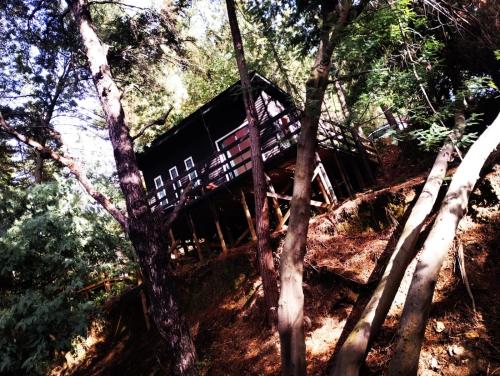 コンスティトゥシオンにあるcabañas eco chahuilcoのギャラリーの写真