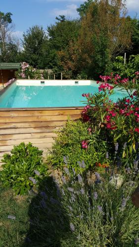 a swimming pool in a garden with flowers at Agriturismo Ca' di Mazza in Monzuno