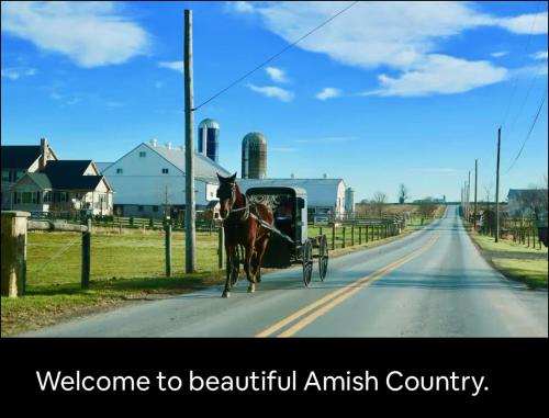 a horse pulling a carriage down a road at The Highland Oasis in Ephrata